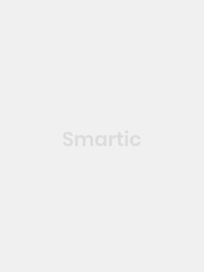 Smartic